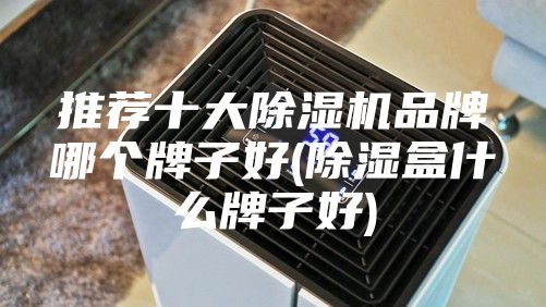 推荐十大除湿机品牌哪个牌子好(除湿盒什么牌子好)
