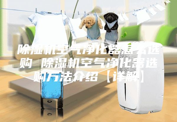除湿机空气净化器怎么选购 除湿机空气净化器选购方法介绍【详解】