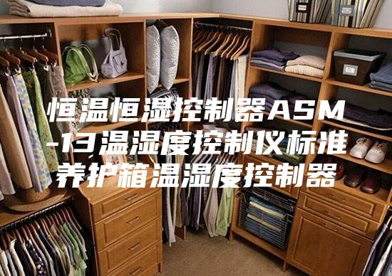 恒温恒湿控制器ASM-13温湿度控制仪标准养护箱温湿度控制器
