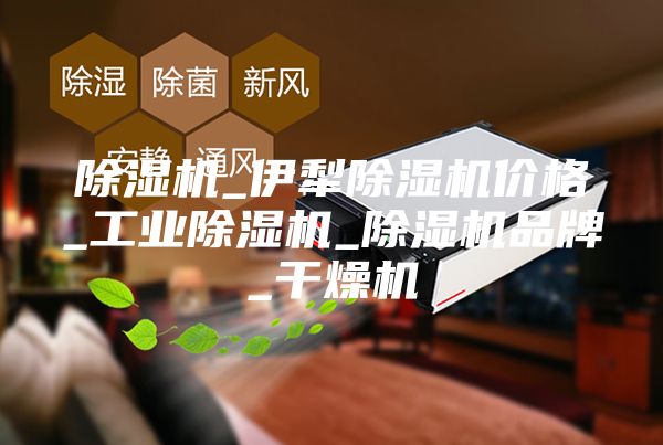 除湿机_伊犁除湿机价格_工业除湿机_除湿机品牌_干燥机