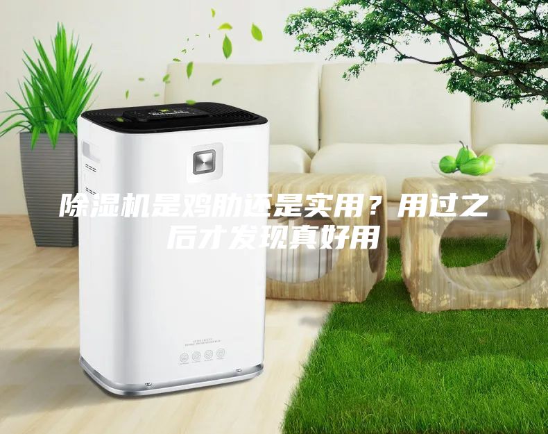 除湿机是鸡肋还是实用？用过之后才发现真好用