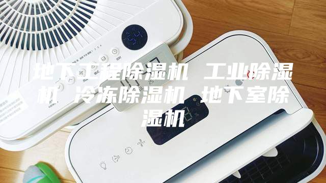 地下工程除湿机 工业除湿机 冷冻除湿机 地下室除湿机