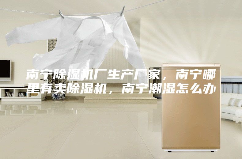南宁除湿机厂生产厂家，南宁哪里有卖除湿机，南宁潮湿怎么办