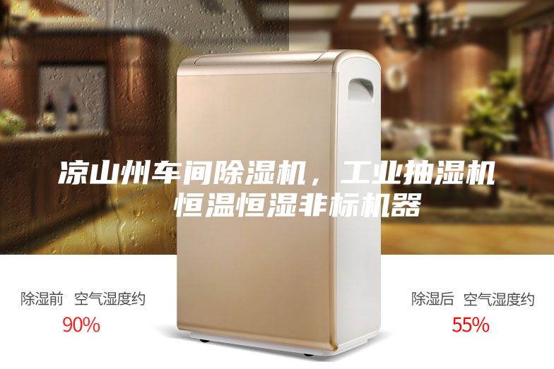 凉山州车间除湿机，工业抽湿机  恒温恒湿非标机器