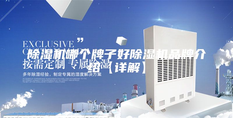 除湿机哪个牌子好除湿机品牌介绍【详解】