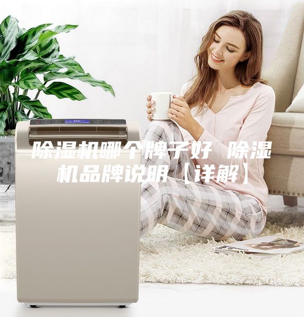 除湿机哪个牌子好 除湿机品牌说明【详解】