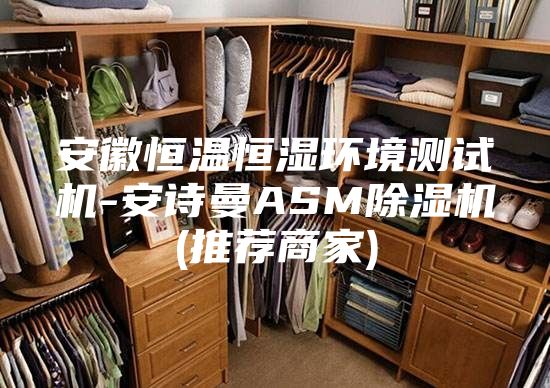 安徽恒温恒湿环境测试机-安诗曼ASM除湿机(推荐商家)