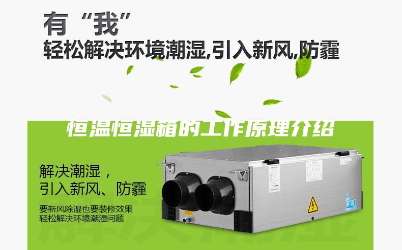 恒温恒湿箱的工作原理介绍