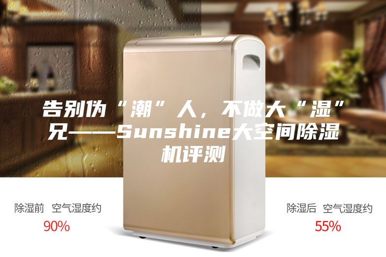 告别伪“潮”人，不做大“湿”兄——Sunshine大空间除湿机评测