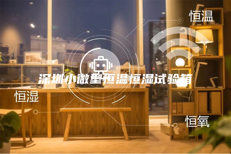 深圳小微型恒温恒湿试验箱