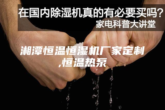 湘潭恒温恒湿机厂家定制,恒温热泵