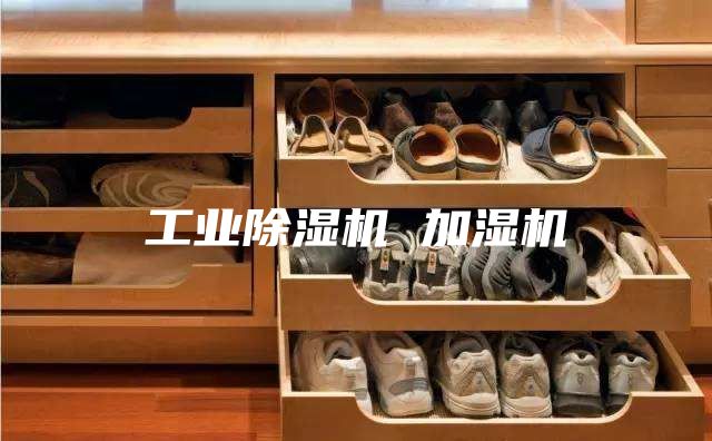工业除湿机 加湿机