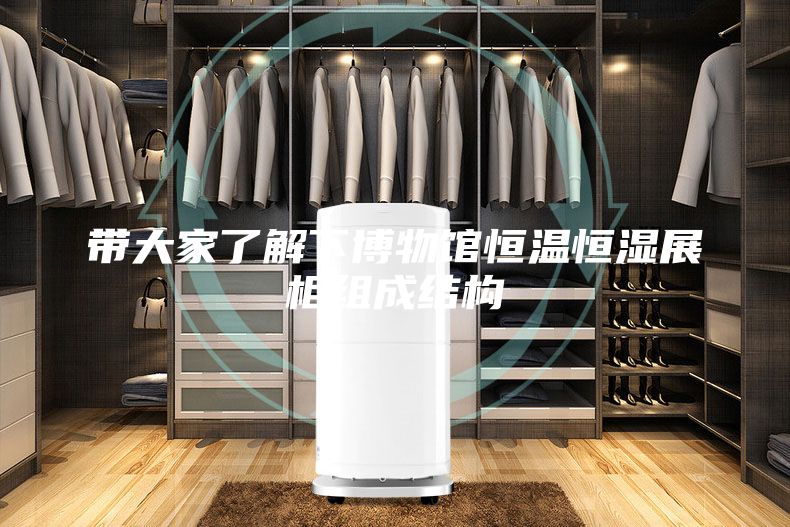带大家了解下博物馆恒温恒湿展柜组成结构