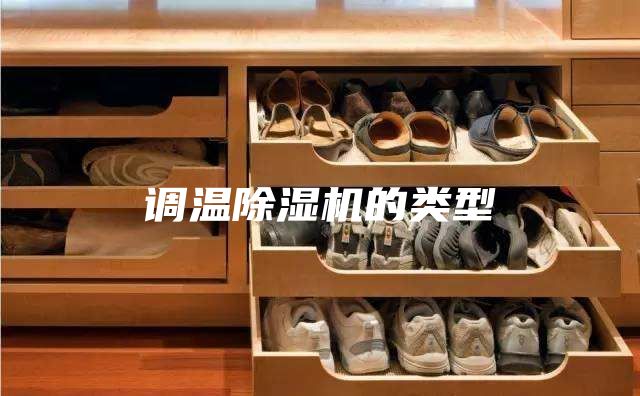 调温除湿机的类型