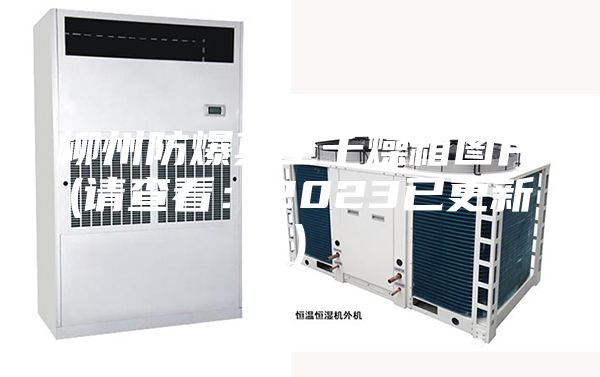柳州防爆真空干燥箱图片(请查看：2023已更新)