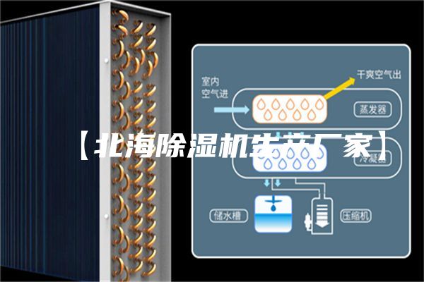 【北海除湿机生产厂家】