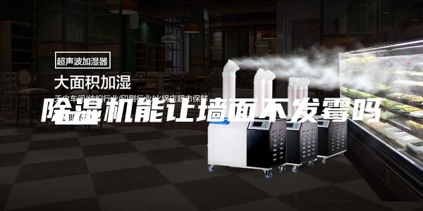 除湿机能让墙面不发霉吗