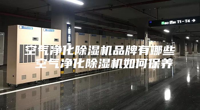 空气净化除湿机品牌有哪些 空气净化除湿机如何保养