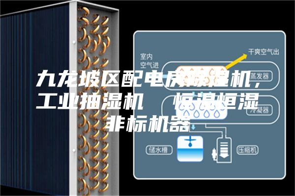九龙坡区配电房除湿机，工业抽湿机  恒温恒湿非标机器
