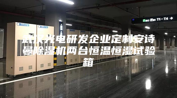 武汉光电研发企业定制安诗曼除湿机两台恒温恒湿试验箱