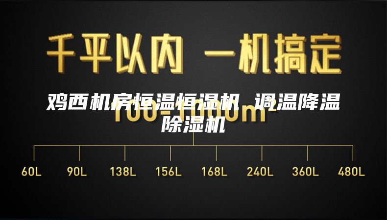 鸡西机房恒温恒湿机 调温降温除湿机