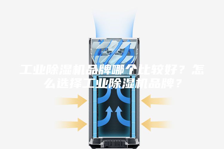 工业除湿机品牌哪个比较好？怎么选择工业除湿机品牌？