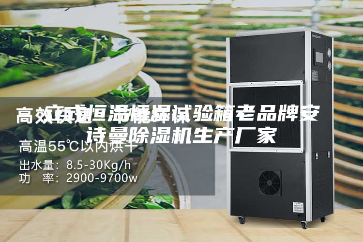 立式恒温恒湿试验箱老品牌安诗曼除湿机生产厂家