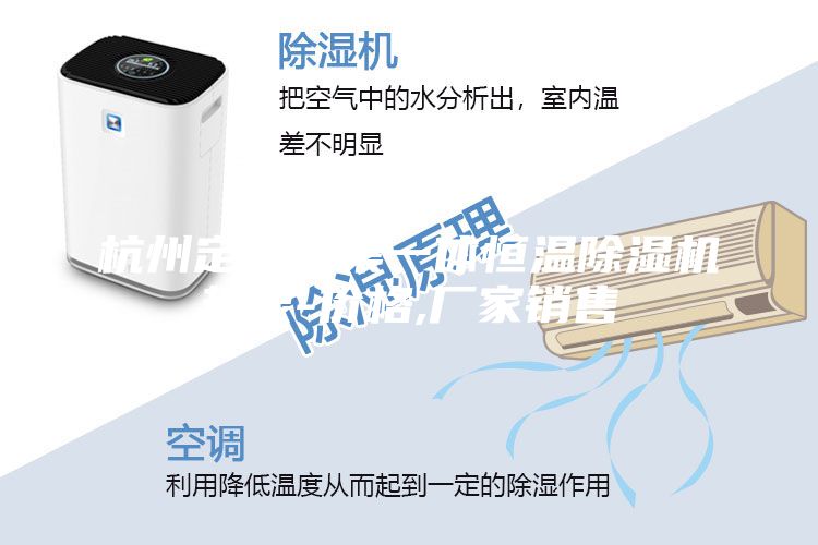 杭州定制三集一体恒温除湿机热泵-价格,厂家销售
