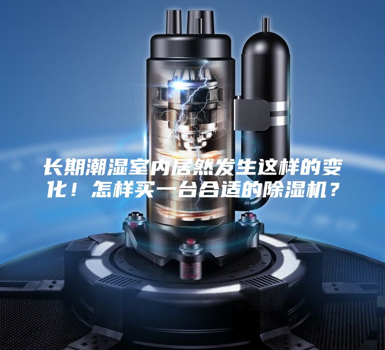 长期潮湿室内居然发生这样的变化!怎样买一台合适的除湿机?