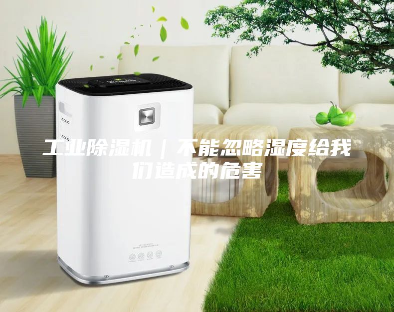 工业除湿机|不能忽略湿度给我们造成的危害