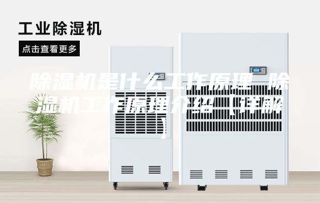除湿机是什么工作原理 除湿机工作原理介绍【详解】