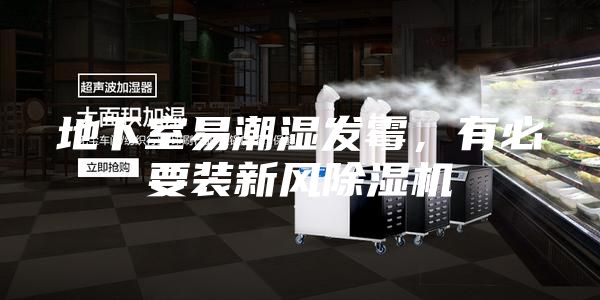 地下室易潮湿发霉,有必要装新风除湿机