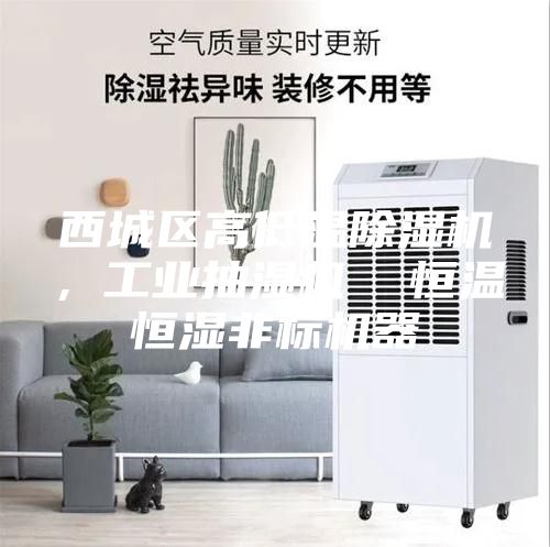 西城区高低温除湿机，工业抽湿机  恒温恒湿非标机器