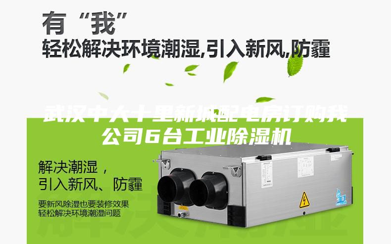 武汉中大十里新城配电房订购我公司6台工业除湿机