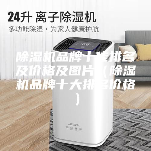 除湿机品牌十佳排名及价格及图片（除湿机品牌十大排名价格）