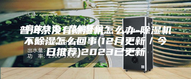 普洱茶没有除湿机怎么办-除湿机不除湿怎么回事(12月更新／今日推荐)2023已更新