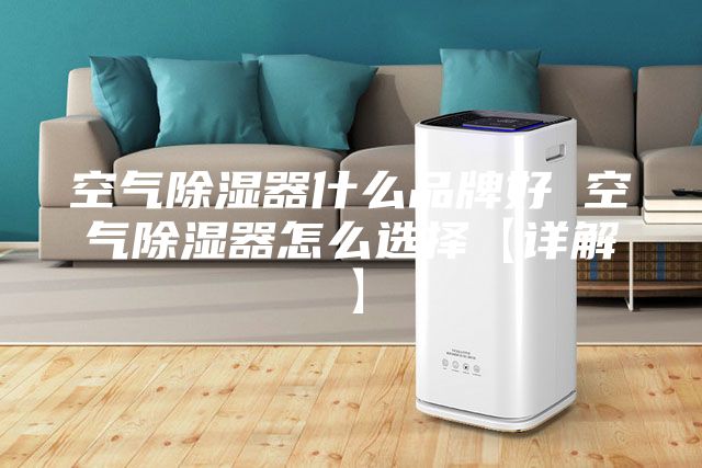 空气除湿器什么品牌好 空气除湿器怎么选择【详解】