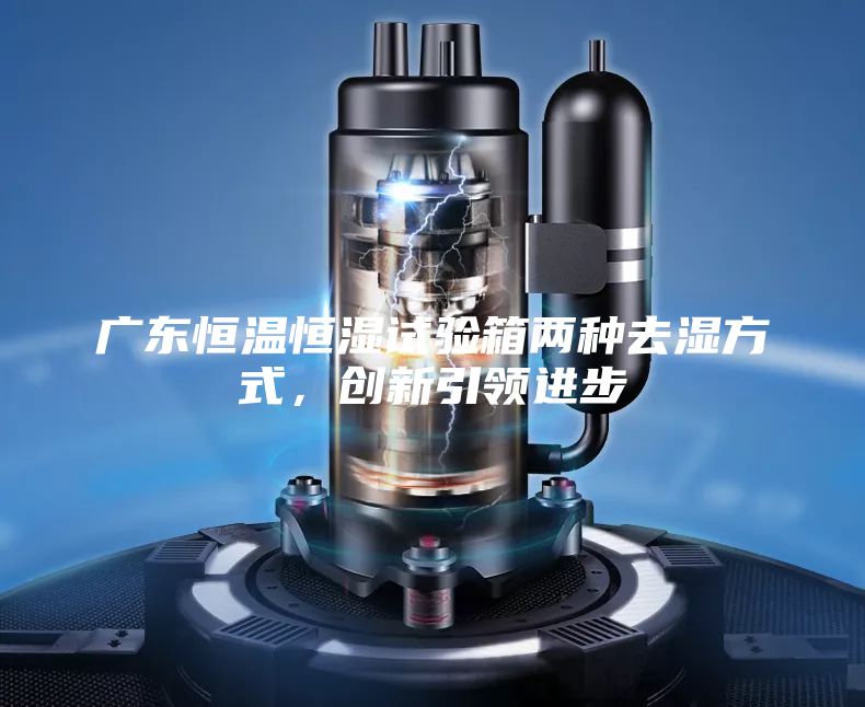 广东恒温恒湿试验箱两种去湿方式，创新引领进步