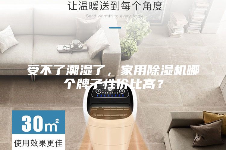 受不了潮湿了，家用除湿机哪个牌子性价比高？