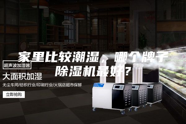 家里比较潮湿，哪个牌子除湿机最好？
