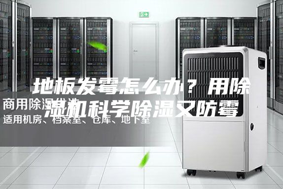 地板发霉怎么办？用除湿机科学除湿又防霉