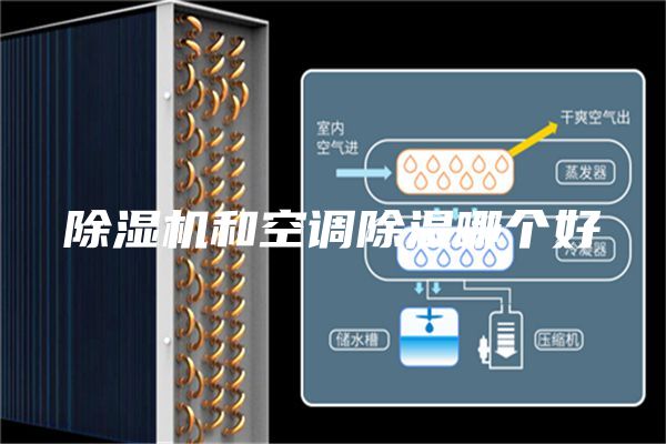 除湿机和空调除湿哪个好