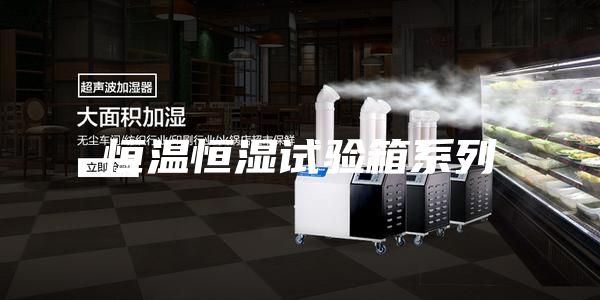 恒温恒湿试验箱系列