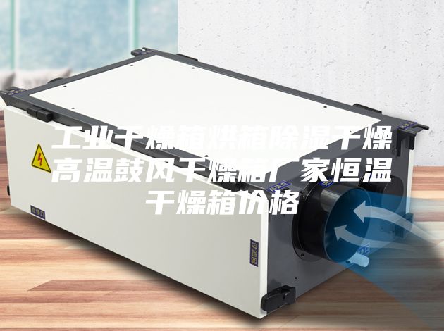 工业干燥箱烘箱除湿干燥高温鼓风干燥箱厂家恒温干燥箱价格