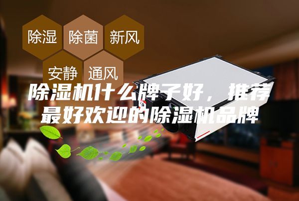 除湿机什么牌子好,推荐最好欢迎的除湿机品牌