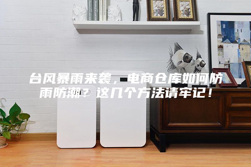 台风暴雨来袭，电商仓库如何防雨防潮？这几个方法请牢记！