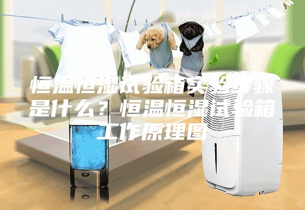 恒温恒湿试验箱实验步骤是什么？恒温恒湿试验箱工作原理图