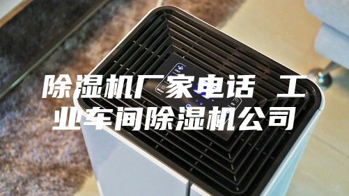 除湿机厂家电话 工业车间除湿机公司