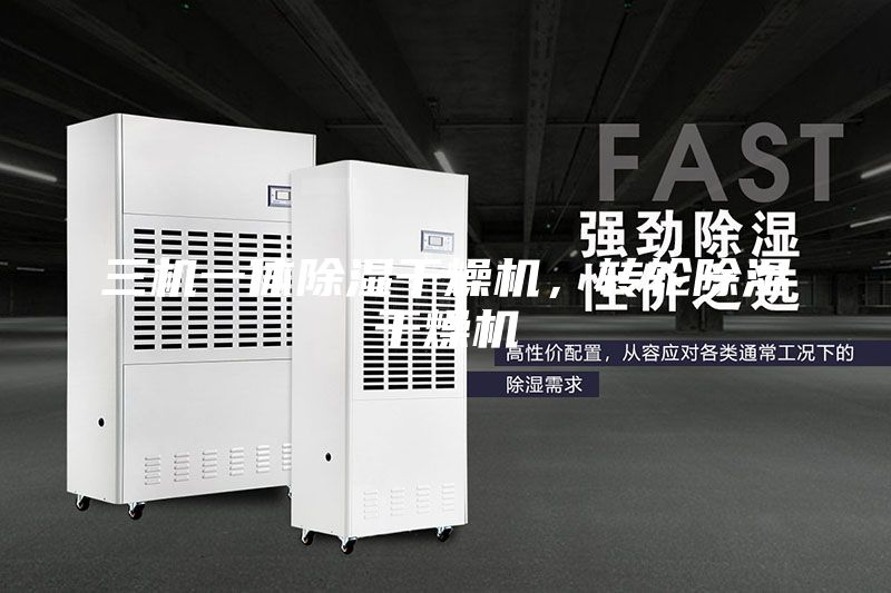 三机一体除湿干燥机,转轮除湿干燥机