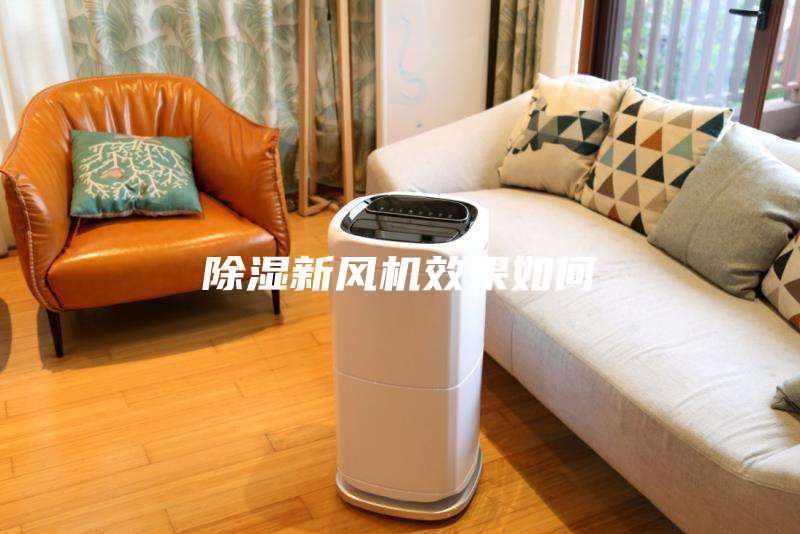 除湿新风机效果如何